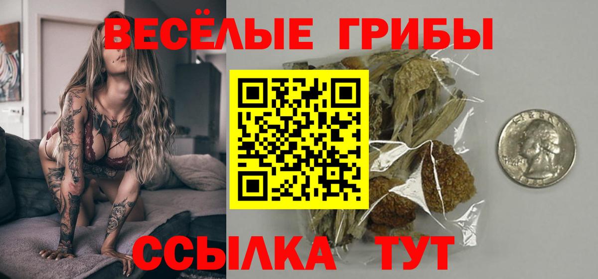Галлюциногенные грибы прущие грибы  Вход с VPN  Коломна 